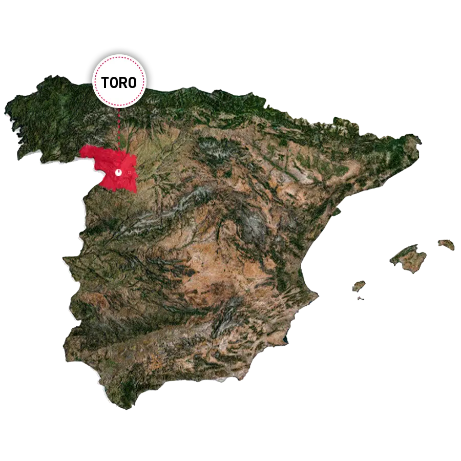 Bodega Covitoro – Localización Bodega Covitoro - Localización